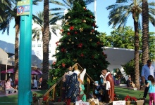 Weihnachtsbaum und Krippe unter Palmen - ist schon komisch
