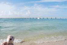 Das ist die neue Brücke nach Key West!