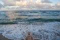 Ich bin am Strand von Ft. Lauderdale!