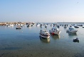 Viele kleine Boote im Hafen von Gorey