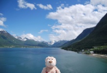 Schönes Wetter, schöne Landschaft-  Urlaub für den Bären!