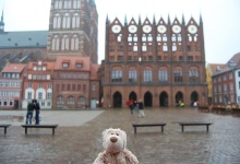 Das Rathaus am Marktplatz - und ich steh im Regen