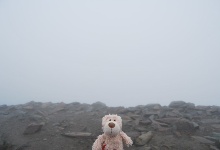 Ich bin am Gipfel des Mt. Snowdon